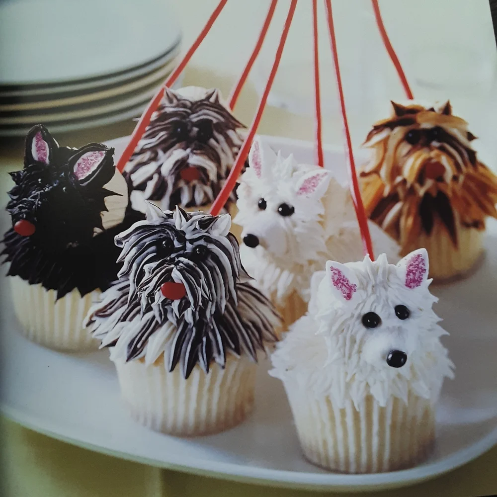 Book. Create Fun Cupcakes